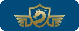 Momo VN logo